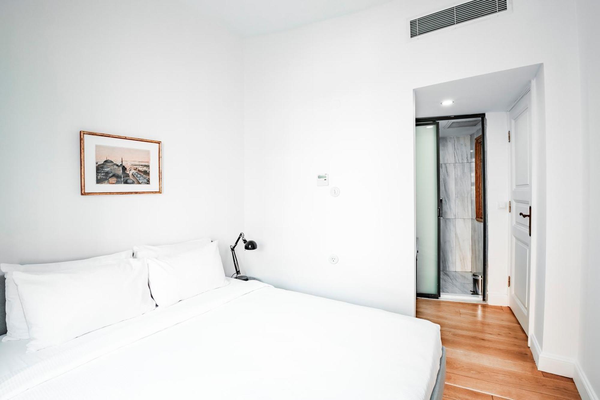 Homie Suites - Historical Apartment Nearby Galata Tower Istanbul Room photo